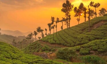 GATEWAY TO KERALA